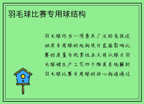 羽毛球比赛专用球结构